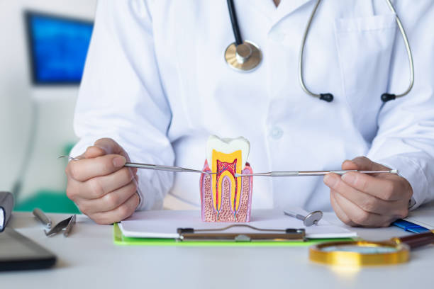 Best Emergency Cosmetic Dentistry in Maysville, NC